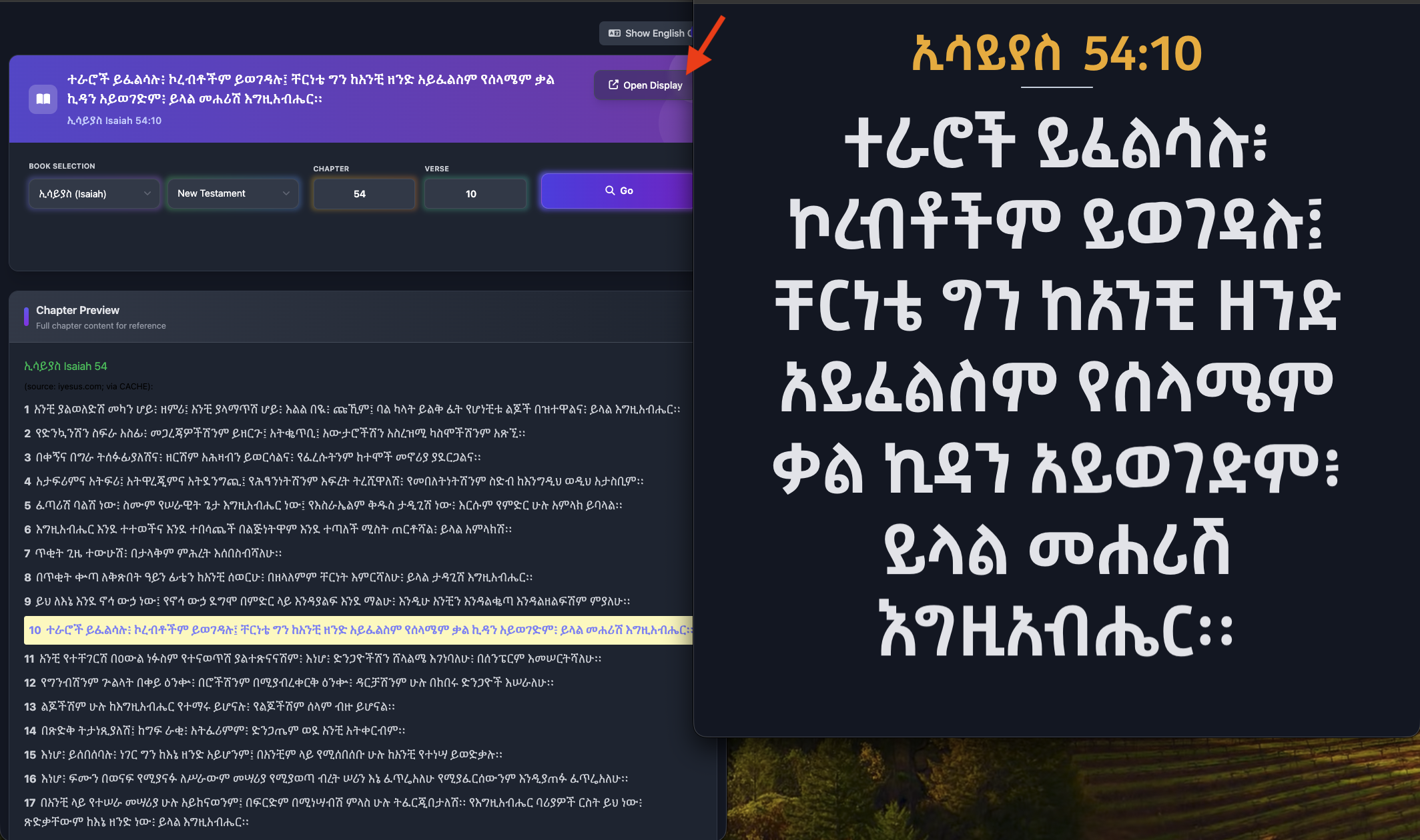 Verse Display Preview